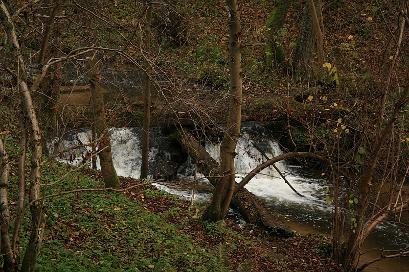 Rostoczek 11.2008 128